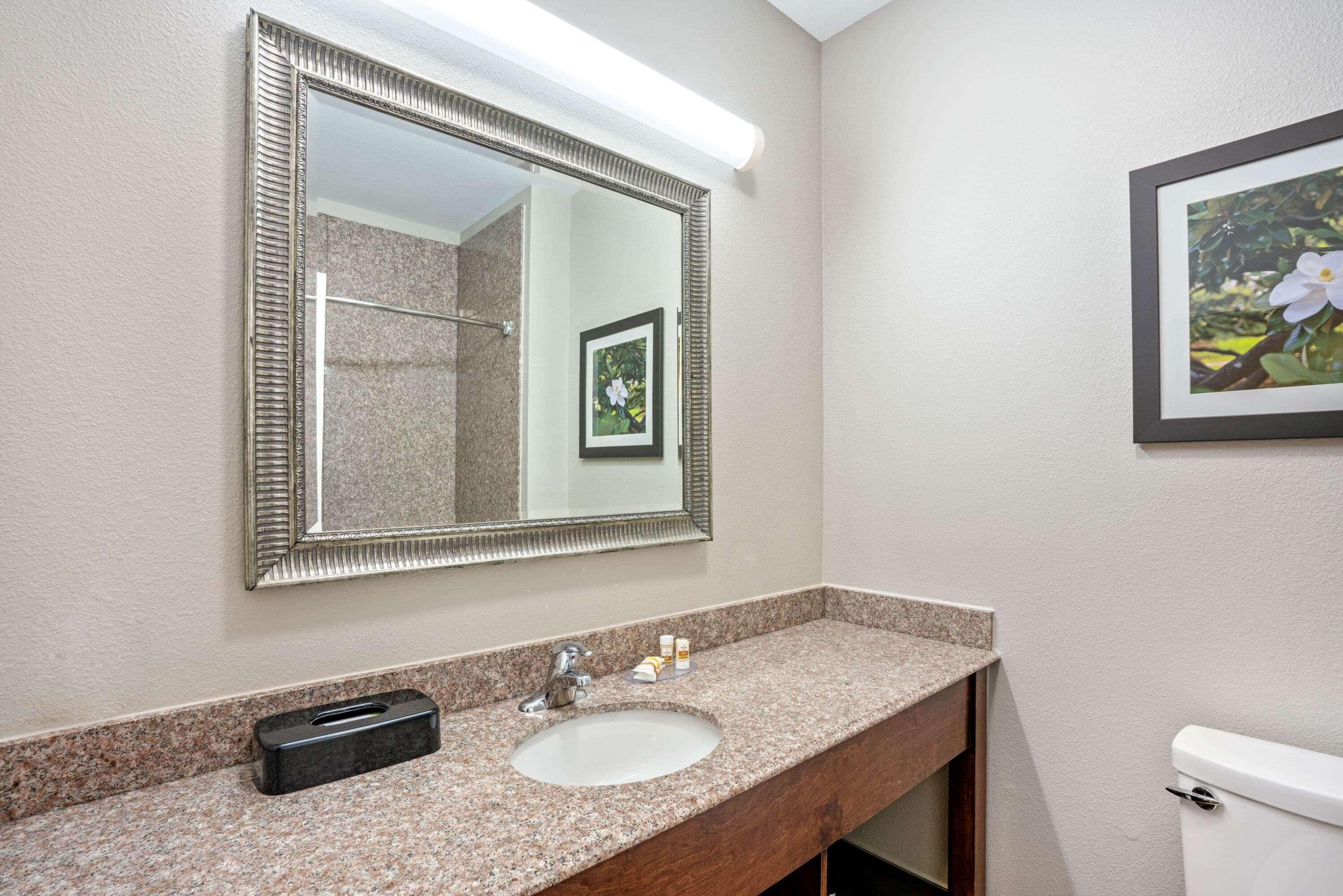 La Quinta By Wyndham Houston - Magnolia Hotel Bagian luar foto